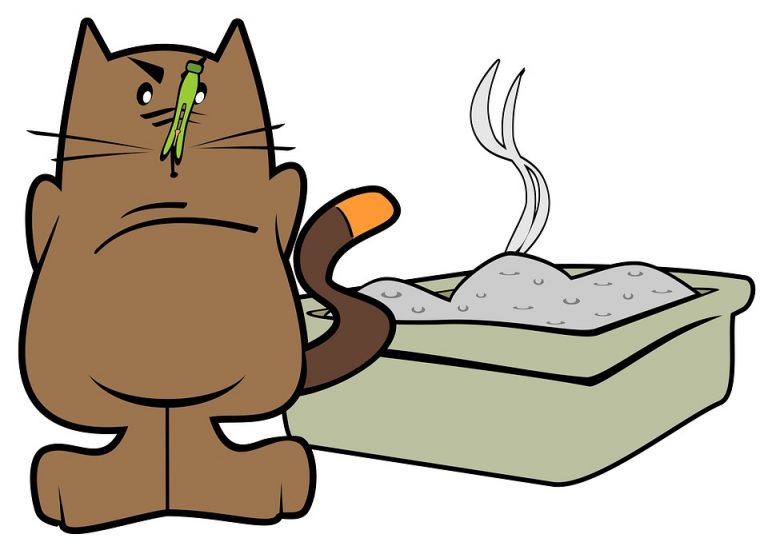 Cartoon cat smelling waste on her litter with an angry face