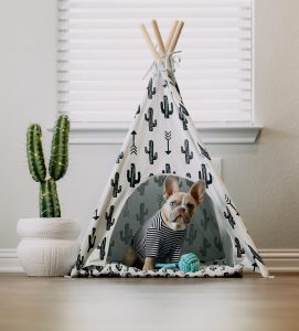 Dog in his dog bed tent