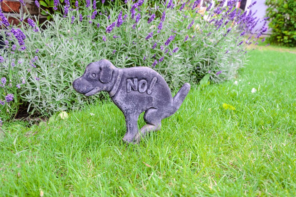 Statue on a lawn telling dog not to poop there