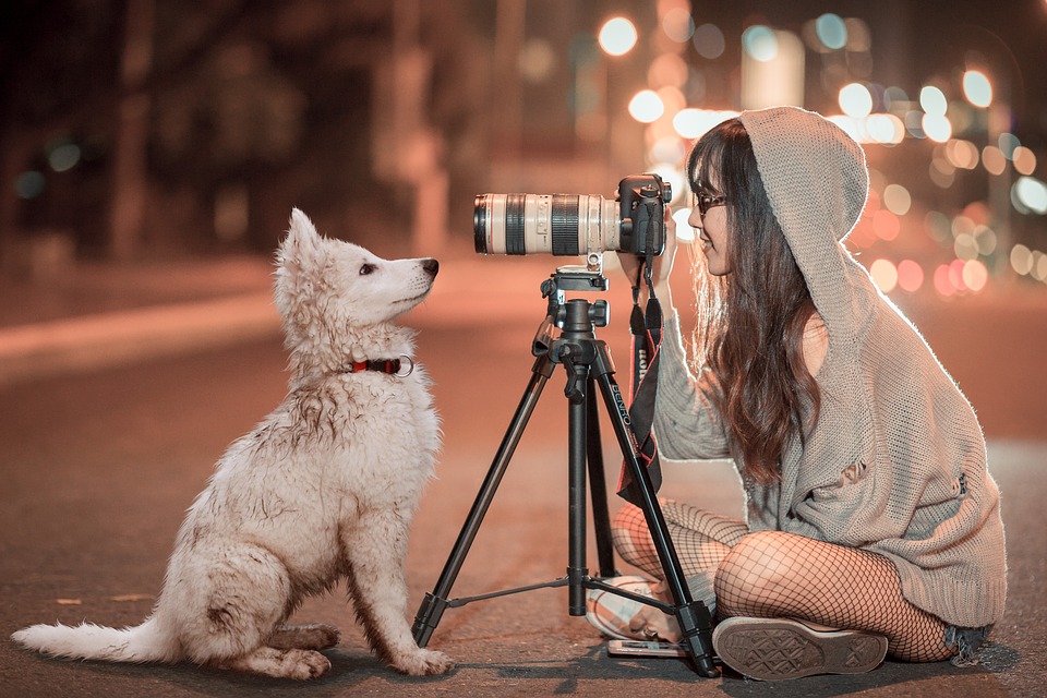 Girl taking a picture of a dog