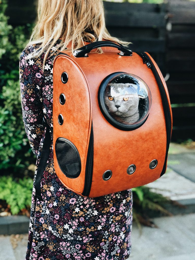 Girl wearing a cat backpack with a cat inside